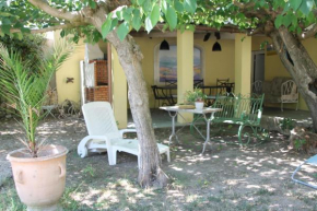 la maison des oliviers